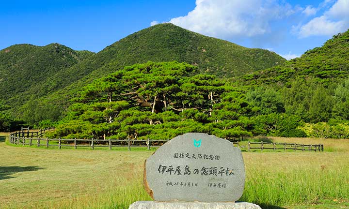 念頭平松（7.7km車で約12分）